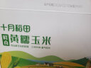 十月稻田 23年新玉米 鲜食黄糯玉米 2.2kg(220g*10) 东北黄甜糯 杂粮礼盒 晒单实拍图