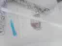魔道祖师裂冰萧初学八孔洞箫乐器萧古风短箫白色萧八孔裂冰箫短洞箫萧乐器 G调8孔白箫（初学推荐） 实拍图