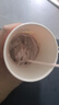 忆丝芸染发膏挑染挂耳染发剂漂发剂褪色膏蓝色粉色绿色植物纯男女士专用 紫红色（6度）D-3 实拍图