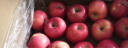 京鲜生烟台红富士苹果5kg 一级果 单果190g以上 水果礼盒 实拍图
