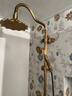 女皇世家中古风花洒套装法式复古黄铜淋浴器升降卫生间家用仿古淋浴龙头 繁花Q4(加厚黄铜) 实拍图