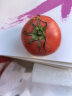 金百粟陕西泾阳普罗旺斯西红柿 生吃沙瓤西红柿番茄农家自种时令生鲜 普罗旺斯 3斤 中果 实拍图
