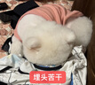 昙蓓漫猫咪衣服防掉毛夏季猫咪狗狗衣服宠物衣服幼猫中小型犬春秋衣服 粉色熊熊头(L码建议6-8斤) 【猫狗通用/透气舒适】 实拍图
