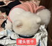 昙蓓漫猫咪衣服防掉毛夏季猫咪狗狗衣服宠物衣服幼猫中小型犬春秋衣服 粉色熊熊头(L码建议6-8斤) 【猫狗通用/透气舒适】 晒单实拍图