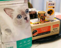 网易严选 全价猫粮 居家宠物主粮幼猫成猫全价粮猫咪食品 1.8KG 实拍图