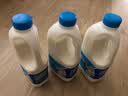 得益 LABS益生菌桶装酸奶 1.1kg\\桶 家庭装 1.1kg/2.2斤*3桶 实拍图