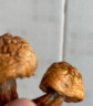 富昌 茶树菇150g 福建古田特产 蘑菇菌菇食用菌 山珍南北干货煲汤炒菜 实拍图