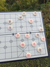 赢八磁石磁性中国象棋大号棋子折叠棋盘学生儿童成人磁吸象棋套装 大号教学款【29*29cm】 实拍图