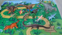 MECHILE恐龙玩具霸王龙恐龙世界模型套装仿真动物暴龙翼龙儿童玩具 恐龙20件套装(送收纳盒) 实拍图