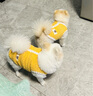 铂呐苓猫咪狗狗宠物衣服小型犬加厚保暖泰迪加菲布偶英短衣服两脚款棉衣 宠物衣服【可爱黄小熊】 S 实拍图