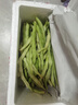 京鲜生山东新鲜白芸豆净重1.5斤装白不老新鲜蔬菜源头直发包邮 实拍图