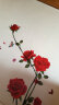 欧仕图（OUSHITU）墙贴自粘 墙壁装饰贴画卧室房间床头diy贴纸客厅电视背景墙可移除 浪漫红色玫瑰花 实拍图
