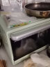 长帝（changdi）家用多功能电烤箱42升大容量 独立控温 搪瓷内胆智能菜单热风循环旋转烤叉 猫小易 实拍图