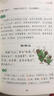 山海经 中华传统文化 儿童文学读物小学生三四五六年级课外阅读书籍青少年儿童必读名著故事书 名师教你读经典系列 实拍图