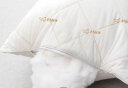 南极人抗菌3D螺旋纤维枕头枕芯 安睡颈椎枕头芯 单人单只装 45*70cm 实拍图