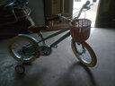 凤凰（Phoenix）儿童自行车3-6-10-13岁小男女孩学生脚踏车带辅助轮 向日葵系列 【爆】向日葵（带手工藤篮） 16寸【建议身高105-115cm】 实拍图