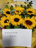 馨仪鲜花速递向日葵玫瑰混搭花束生日礼物送长辈朋友全国同城配送 9朵向日葵花束 实拍图