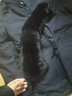 老爷车中老年人羽绒服男装冬季爸爸加厚中长款可脱卸内胆宽松大码外套衣 藏青色 4XL/195 实拍图