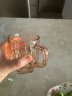 格娜斯（CRISTALGLASS）水杯家用套装高级感轻奢喝茶玻璃水杯子带把客厅待客一套凉壶杯具 琥珀6只+麋鹿杯架 实拍图