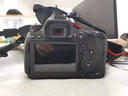 佳能6d2 mark2单反相机 专业全画幅数码单反相机  踏青打鸟旅行婚礼拍照 高像素高性能相机 扫街旅拍 EOS 6D2单机拆+原装备用电池 套餐一【佳能相机专用4K视频录制卡/摄影三脚架】 实拍图