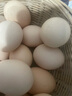 敞鲜 正宗土鸡蛋农家散养新鲜纯农村自养天然草鸡蛋柴鸡蛋笨鸡蛋 20枚 实拍图