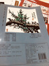 中国画实用技法丛书：写意梅花 实拍图