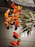 掬涵仿真花假花插花冰岛虞美人罂粟花婚庆节日装饰客厅卧室餐桌花清新 橙色单只（长56cm） 实拍图