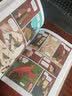 后浪漫系列：追随羽翼的人：鸟类学先驱奥杜邦 实拍图