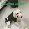 SLPC狗狗衣服小型犬泰迪衣服两脚卫衣猫咪服装比熊博美法斗宠物衣服 墨绿色 XXL（12-18斤左右） 实拍图