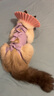 宠号 宠物猫咪衣服 绝育服 母猫 手术服小猫猫防掉毛 浅紫色 S 实拍图