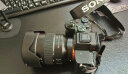 索尼（SONY）ILCE-7M4全画幅微单数码相机4K 60p视频录制 直播相机 sony a7m4 五轴防抖A7M4 A7M4+FE24-105F4G 变焦 风景 旅拍 套餐二[进阶套装] 晒单实拍图