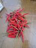 农大姐妹小米椒 新鲜特辣小米辣 农家自种小红辣椒 小米红辣椒 新鲜小米辣 半斤现摘特辣 实拍图