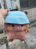 吉吉熊一二布布玩偶熊猫表情包公仔动漫周边抱枕卡通毛绒靠垫 布布 高度 实拍图
