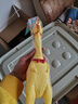 咪贝萌尖叫鸡狗狗发声玩具猫咪用品绝望尖叫玩具狗鸭猪牛球轮胎拖鞋 惨叫鸡L大号40CM 实拍图