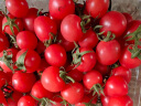 家美舒达山东 贝贝小西红柿 1kg 贝贝番茄 千禧圣女果 新鲜蔬菜 实拍图