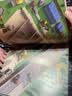 乐高微型世界 40个超逼真的MINI模型搭建实例 实拍图
