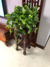 衡工 花架实木客厅盆景架室内花架子落地花几榆木仿古鱼缸架花台整装 30长*30宽*80高栗子红色 实拍图