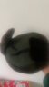 蓝猫笔记冬季帽子加厚保暖防寒雷锋帽男护脸骑行劳保东北火车头帽中老年人 绿布棕毛雷锋帽 L（58-60cm） 晒单实拍图