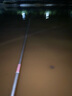 小凤仙鱼漂PLD04电子漂鲫鱼漂鲤鱼漂混养水无影夜光漂浮漂强光醒目高灵敏纳米鱼浮子渔具钓鱼用品 实拍图