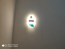寻光之鹿壁灯新中式床头灯创意印花灯具 精美韵味艺术装饰灯 梅兰竹菊 拉丝金40*15cm梅花 暖光 实拍图