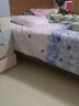 金时 决明子木棉成人枕头芯全棉玉石按摩呵护睡眠颈椎枕 中等高度硬枕 决明子护颈枕2个+全棉枕套2个 实拍图