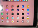 Apple/苹果 二手平板电脑 iPad mini2/4/5/2017/18/19/20款/95新 国行零售机 mini5  256G 插卡版 店保 实拍图