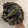 【活蟹】王氏大闸蟹生鲜水产鲜活螃蟹礼盒 公4.0两母3.0两8只装 公4两 母3两 4对8只装 实拍图