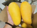 山姆大叔正宗大青芒果【多地次日达】可生吃酸脆芒果新鲜水果礼盒非金煌芒 御品老树果｜500g+【甜爆了】 9斤装【家庭自由畅吃】净8.5斤 实拍图