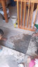 凯诺森水泥地面修补高标号白水泥速干快干防水水泥自流平抗裂砂浆堵漏王 40斤-特种灰水泥【快干抗裂】 实拍图