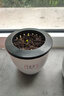 四季开花花种子 阳台室内植物盆栽套餐绿植花卉花草易活种籽 樱桃番茄50粒懒人盆套餐 实拍图