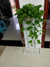 思故轩（SIGUXUAN）花架阳台花盆架子多层落地式简易装饰架铁艺花架客厅绿萝爬藤架 白色H915【四层放五盆】 实拍图