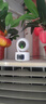 普联（TP-LINK）摄像头家用监控器 室内高清无线智能网络摄像机 360°度全景旋转云台手机APP远程查看双向语音对讲 【双镜头丨双画面】1000万旗舰版 64GB内存卡【免费升级128GB卡】 4 实拍图