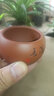 尊壶紫砂杯茶杯品茗杯主人杯功夫茶具配件闻香口杯陶瓷小茶碗清香兰草 清水泥1个80ml 实拍图