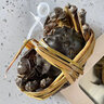 【活蟹】阳澄小斌大闸蟹 鲜活精挑特大螃蟹公蟹母蟹生鲜水产礼盒 精品特大六月黄3.5-3.8两 八只装 实拍图